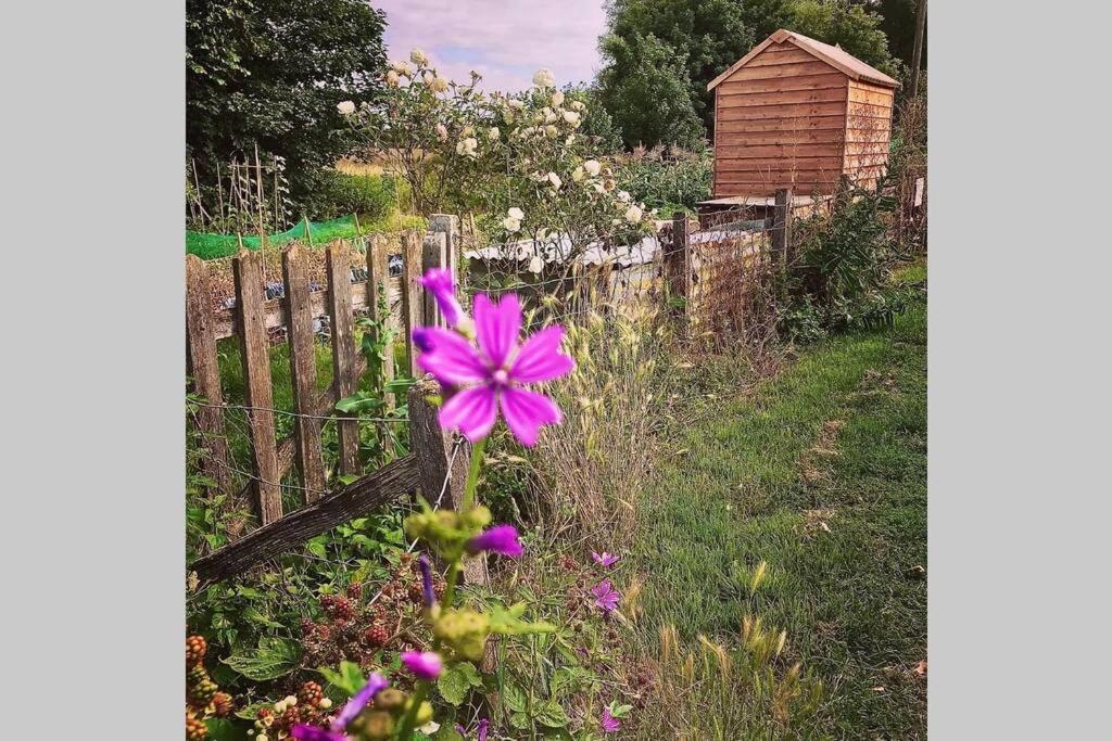 Melford Allotment Shed-Vintage Lodge Suffolk Лонг Мелфорд Екстериор снимка
